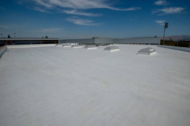 Best Roof Waterproofing  in , FL