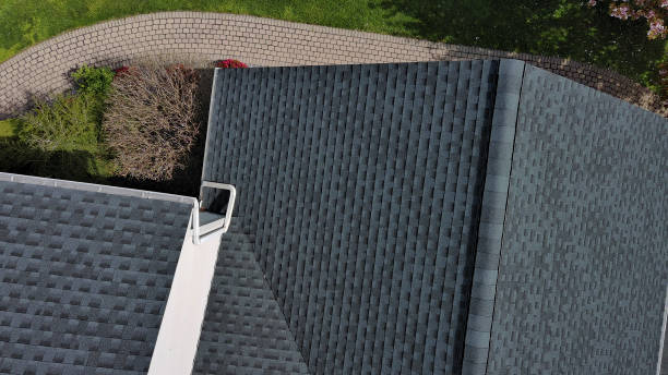 Best Skylights  in , FL