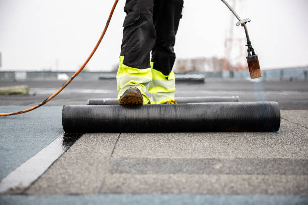 Best Sheet Metal Roofing  in , FL
