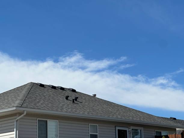 Best Roof Coating and Sealing  in , FL